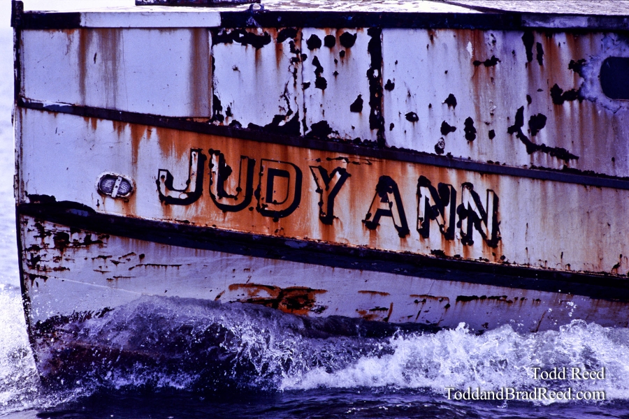 Judy Ann
