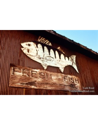 Sign of Times Past