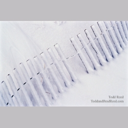 Snow Art