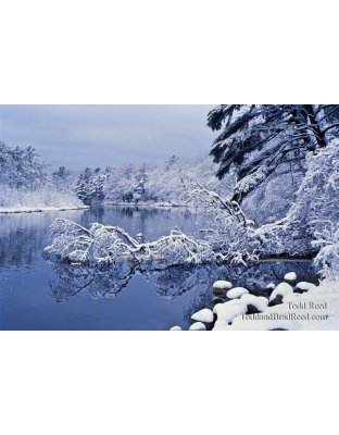 Winter Wonderland