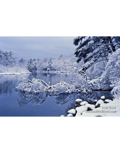 Winter Wonderland