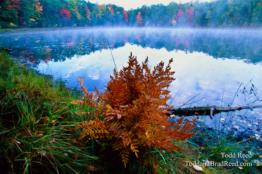 North Country Splendor