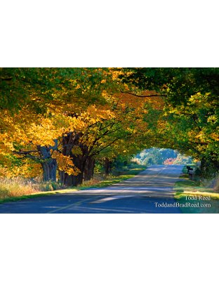 Sunday Drive