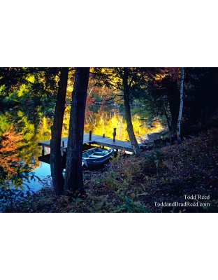 Bayou Splendor