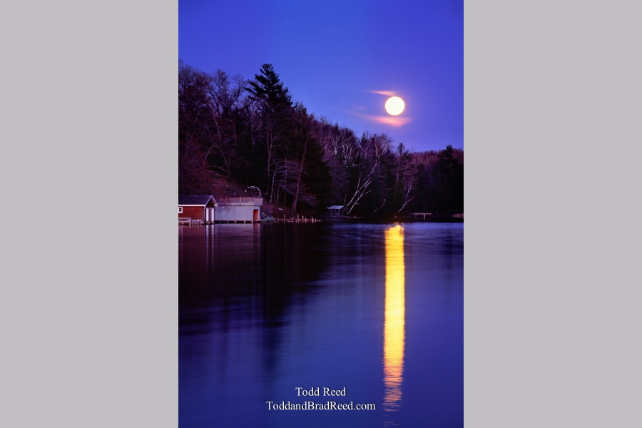 Moonlight on the Bayou