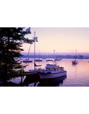 Pentwater Stillness