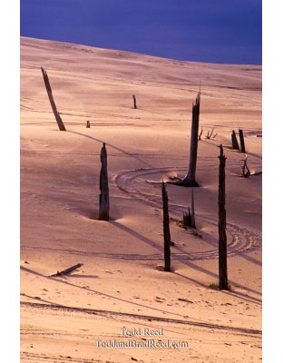 Slalom Course