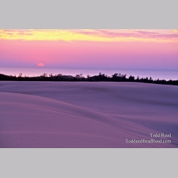 Sandy Sunset