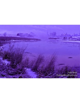 Pere Marquette River Flats