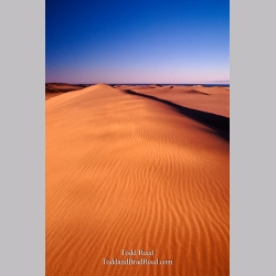 Dune Shadow