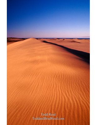 Dune Shadow