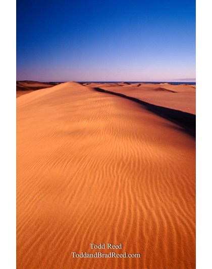 Dune Shadow