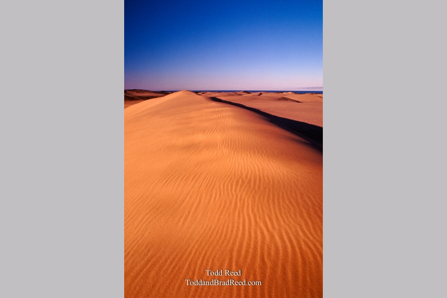 Dune Shadow