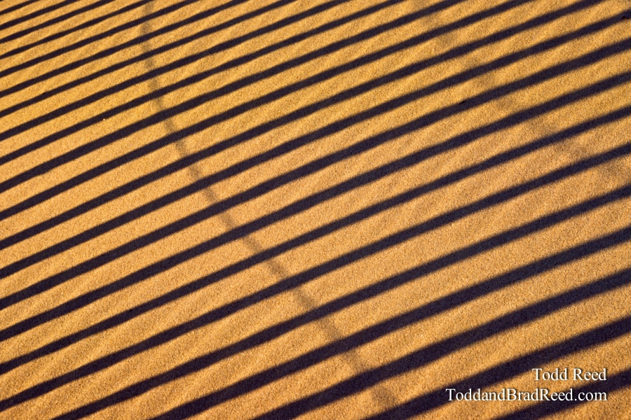 Lines In the Sand