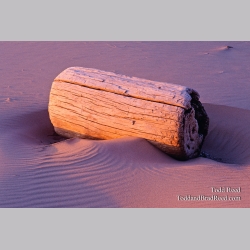Resting Place