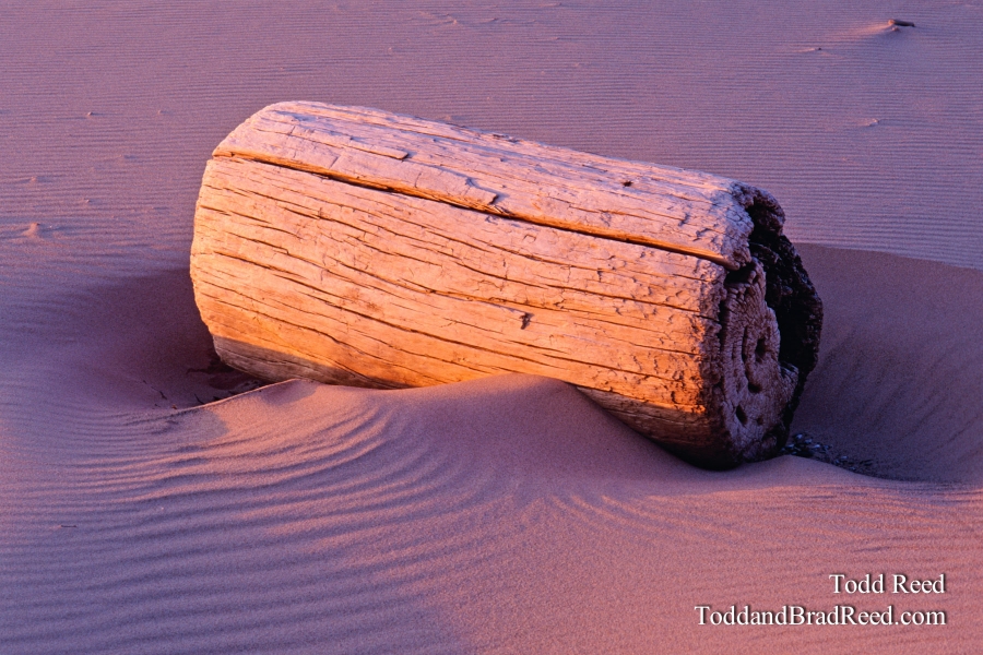 Resting Place