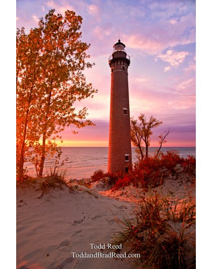 Autumn Light