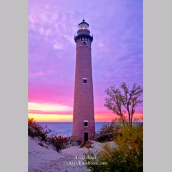 Little Sable Pink Light