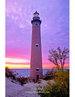 Little Sable Pink Light