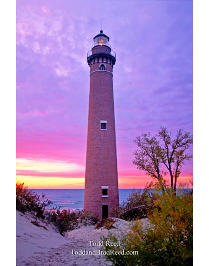 Little Sable Pink Light