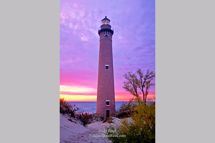 Little Sable Pink Light