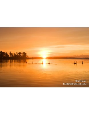 Hamlin Lake Sunrise