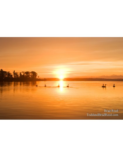 Hamlin Lake Sunrise