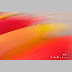 Bright Brush Strokes