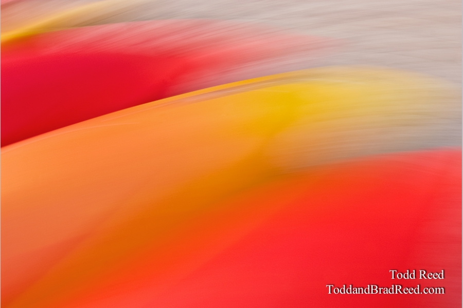 Bright Brush Strokes