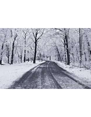 The Road Less Traveled