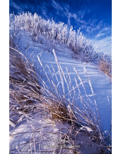 Frosty