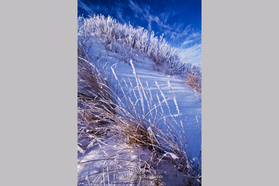 Frosty