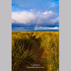 Path To Glory