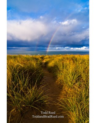 Path To Glory