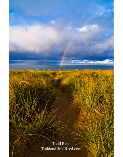 Path To Glory