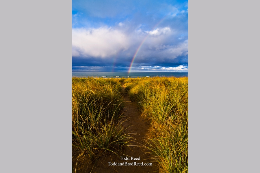 Path To Glory