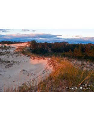 Dune Waves