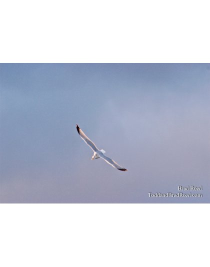 Riding the Wind