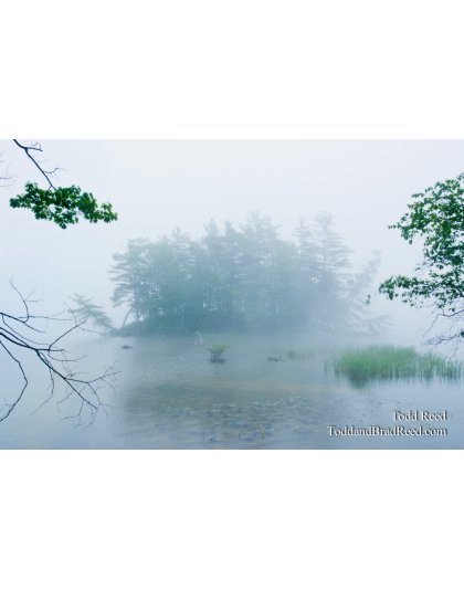 Out of the Mist