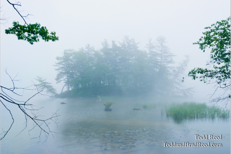 Out of the Mist