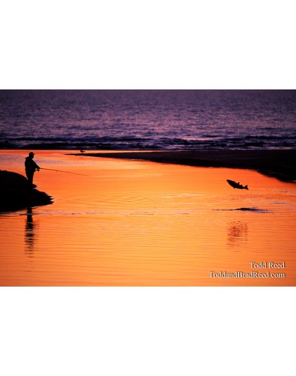 Fisherman's Dream