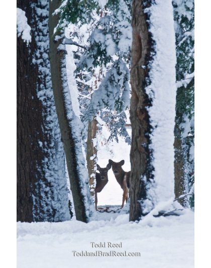 Winter Outlook