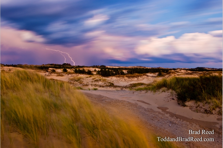 Electric Landscape