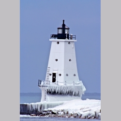 Brad Reed\'s Day 12 of 365 