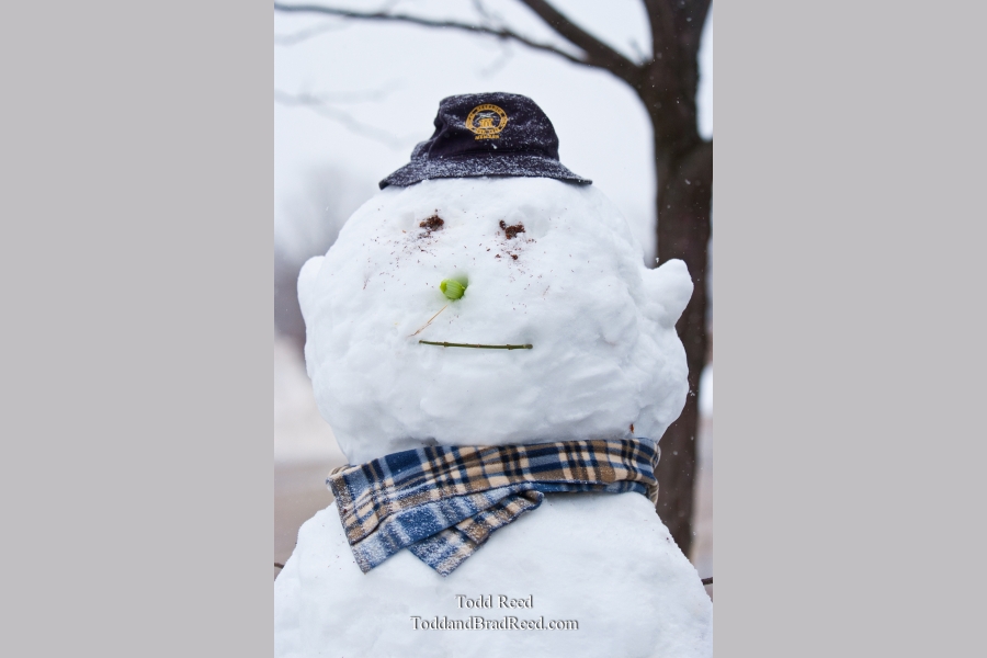 Todd Reed's Day 15 of 365 