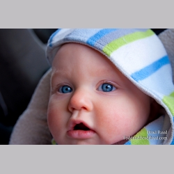 Brad Reed\'s Day 16 of 365 