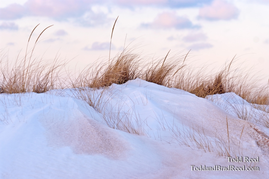 Todd Reed's Day 19 of 365 