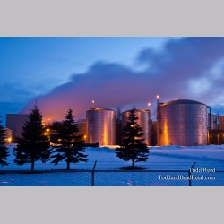 Todd Reed\'s Day 20 of 365 