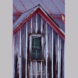 Todd Reed\'s Day 25 of 365 