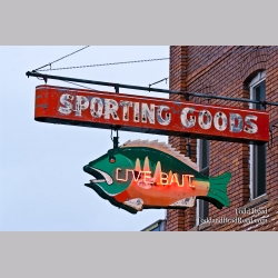 Todd Reed\'s Day 26 of 365 
